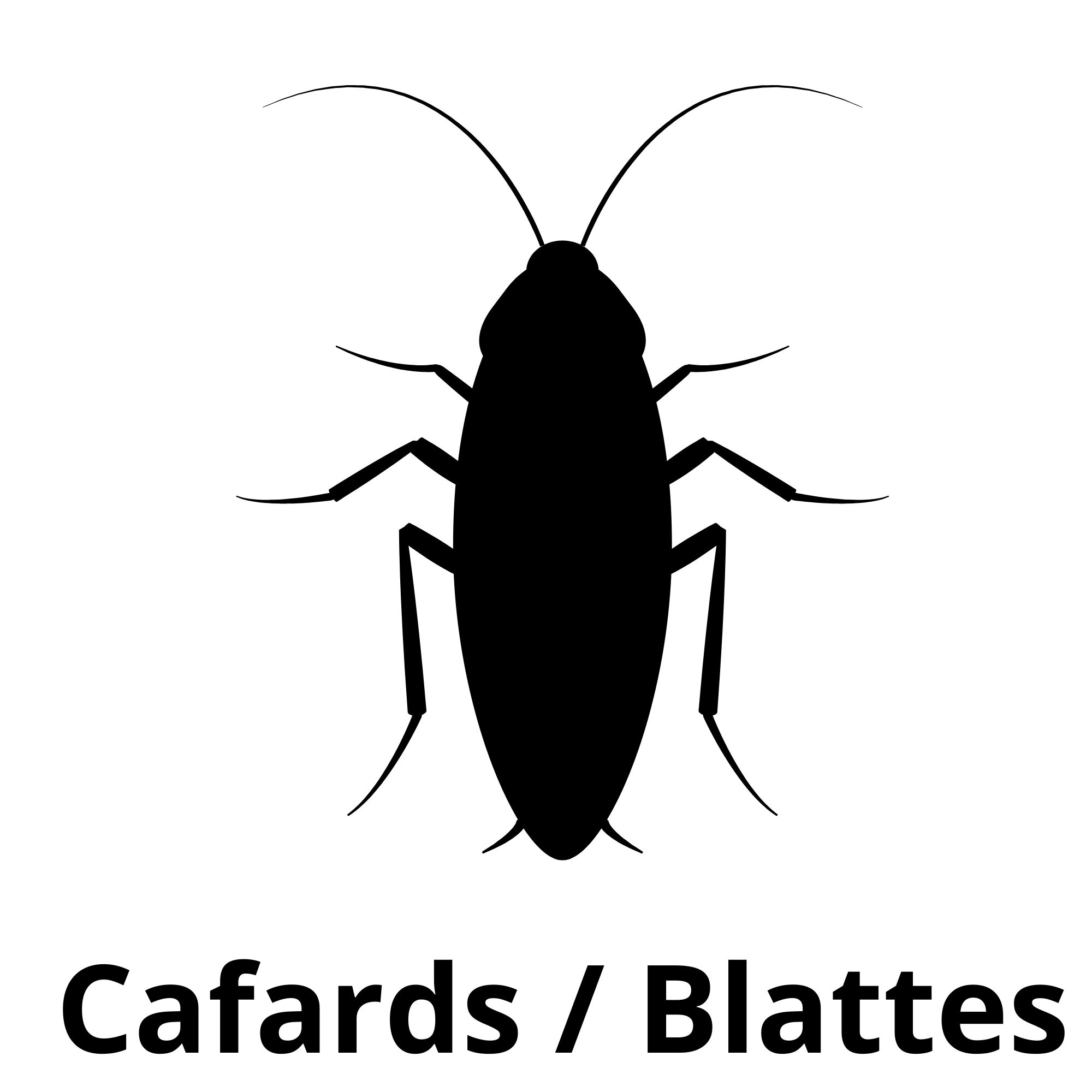 Cafards